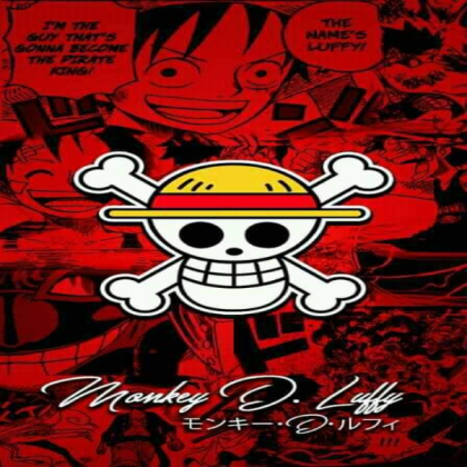 One piece Roblox decal