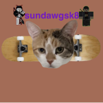 sundawgsk8