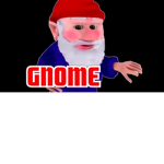 The g'nomes