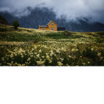 - cozy - fields -