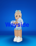 Wayside Cheer Competition Team