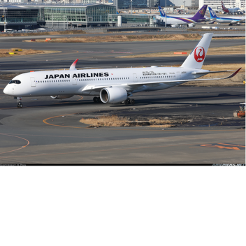 Japan airline 516