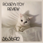 Rosey Toy Review
