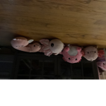 Axolotl, group and friends