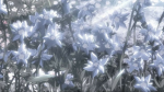 Star Garden<3