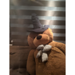 BEARS SANCTUARY