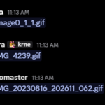 qz kingdoom