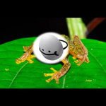The Froggy Guild