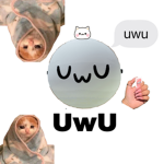 Robloxoloji