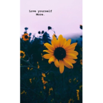 ~love yourself more~