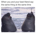 This group is my friends and family
