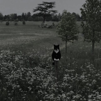 ♡