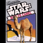 bird vs camel