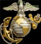 T.E.M.