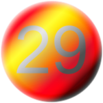 Badge 29