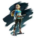 Zelda breath of the wild fan club