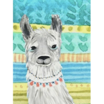 The blue llama clothing