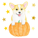 The Clothing Corgi