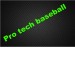 [PTBL] Pro tech baseball league