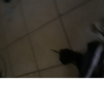 Kdkd