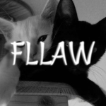 fllaw Group Thumbnail