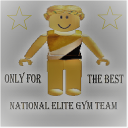 National Elite Gym Team's Gymnasium [V3]