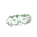Tropical Blooms Flower Crown in Ivory