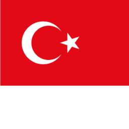 THE TURKS VS ROBLOX