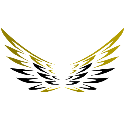 Thunder wings 1/10⚡️