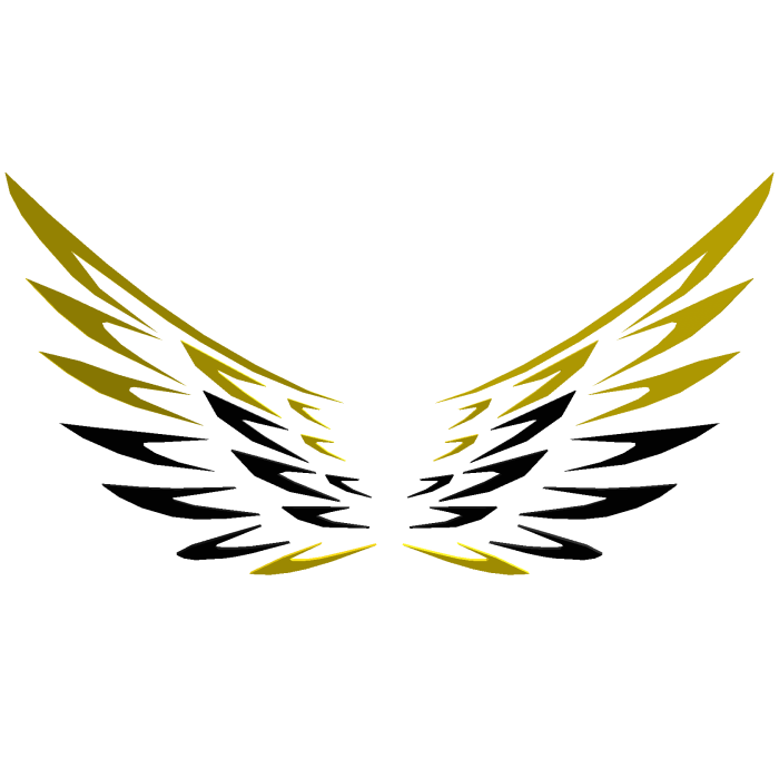 Thunder wings 1/10⚡️