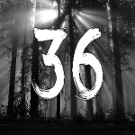 36'