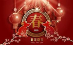 Hong Kong International Airlines