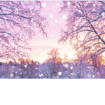 Snowy day’s