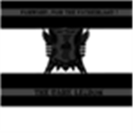 The Dark Shadow Legion