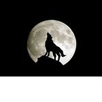 Warewolf at night