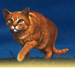 warriors cat fan group