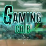 The-Gaming-Crib