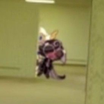 Isabella's Shampoo
