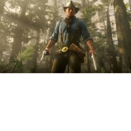 THE CRAZY WEST