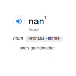 TheNanGang