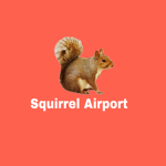 squirrel airport - group
