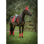Horses at heart