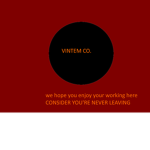 VINTEM360's business