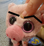 beanie boo crew!!