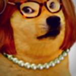 Karen doge