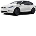 Tesla Model X official group