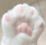pawbly