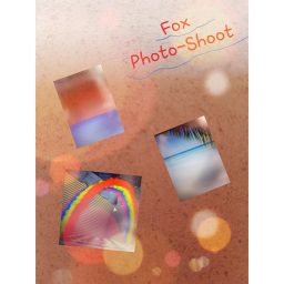 Foxes Photo-Shoot