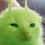 glorpism