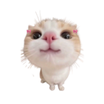 ⋆⋅⋆